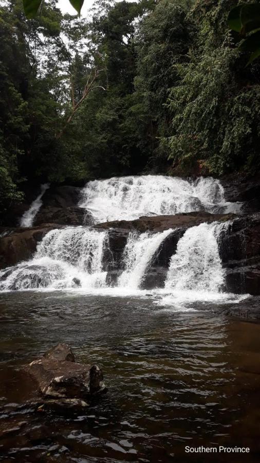 Отель Rainforest River Edge Денияйя Экстерьер фото