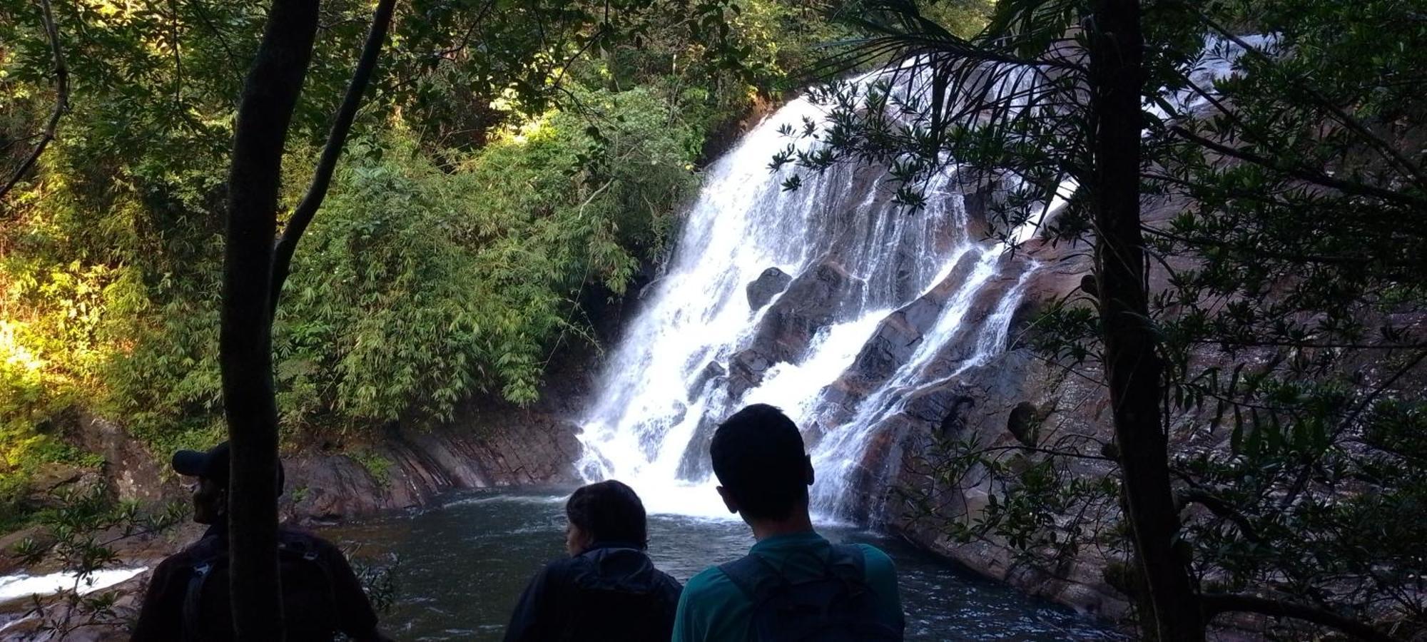 Rainforest River Edge Денияйя Экстерьер фото